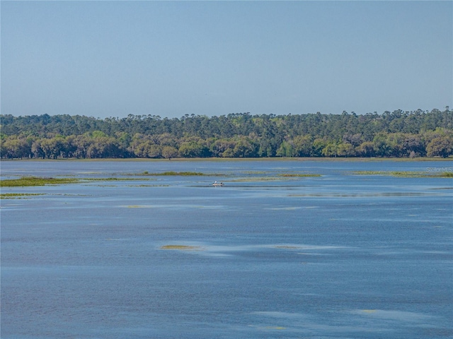 property view of water with a wooded view