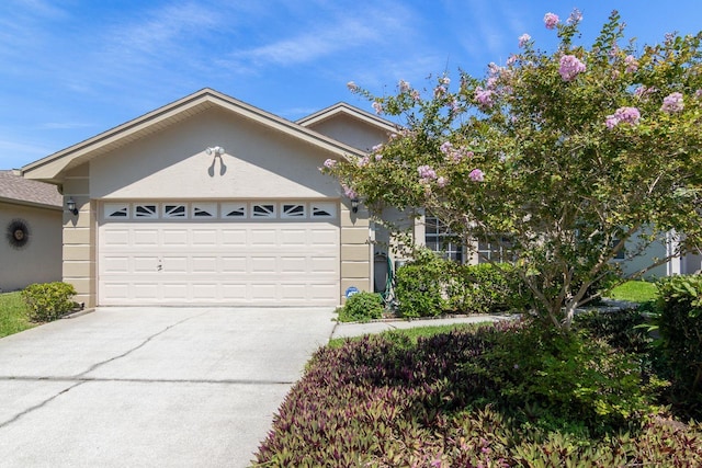 2991 Covewood Pl, Clearwater, FL 33761 - view of front of house with an attached garage, stucco siding, and concrete driveway
