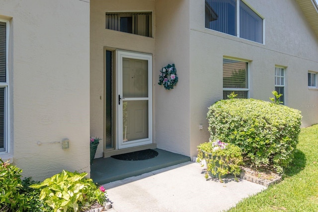 2991 Covewood Pl, Clearwater, FL 33761 - entrance to property featuring stucco siding
