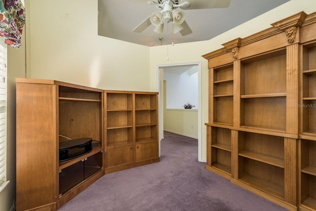 2991 Covewood Pl, Clearwater, FL 33761 - interior space with carpet flooring and ceiling fan