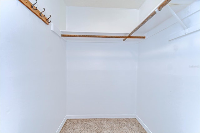 spacious closet featuring light colored carpet