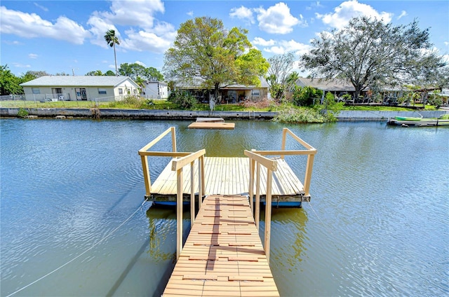 dock area with a water view