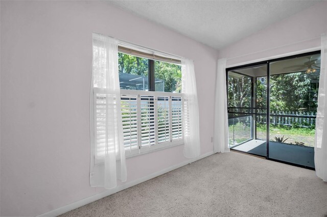 2462 Indian Trl E, Palm Harbor, FL 34683 - spare room featuring a textured ceiling, baseboards, and carpet floors