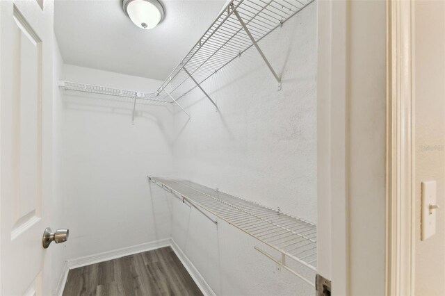 6316 S Richard Ave, Tampa, FL 33616 - photo 23