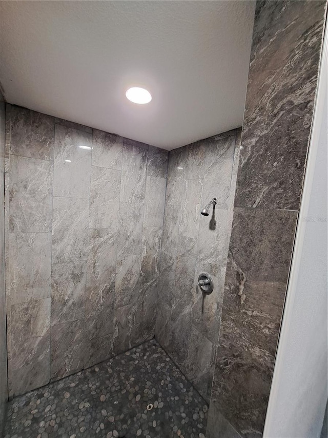 26 Clintwood Ave, Englewood, FL 34223 - bathroom with tiled shower