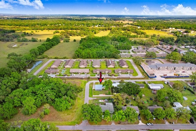 335 Diana Ave, Wauchula, FL 33873 - photo 34