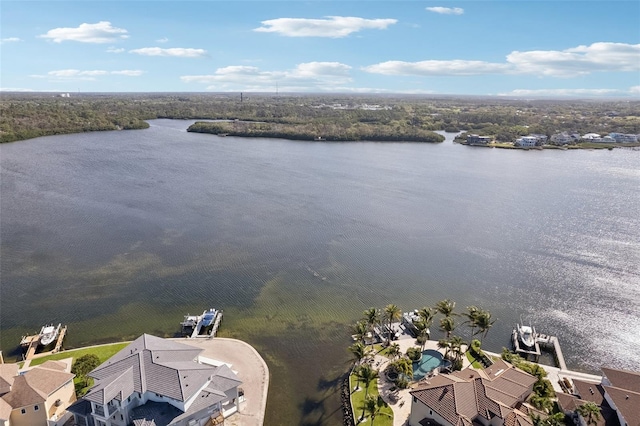 104 Carlyle Cir, Palm Harbor, FL 34683 - bird's eye view of a large body of water