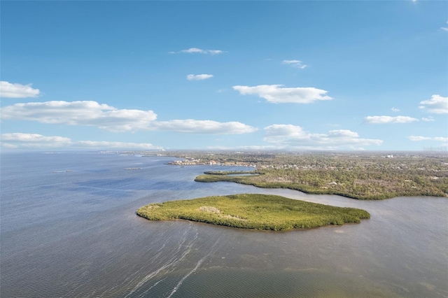 104 Carlyle Cir, Palm Harbor, FL 34683 - water view