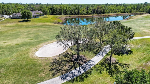 bird's eye view featuring a forest view and a water view