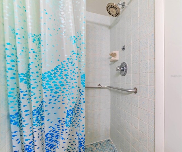 5427 Springwood Blvd Unit 5427, Pinellas Park, FL 33782 - bathroom with a shower stall