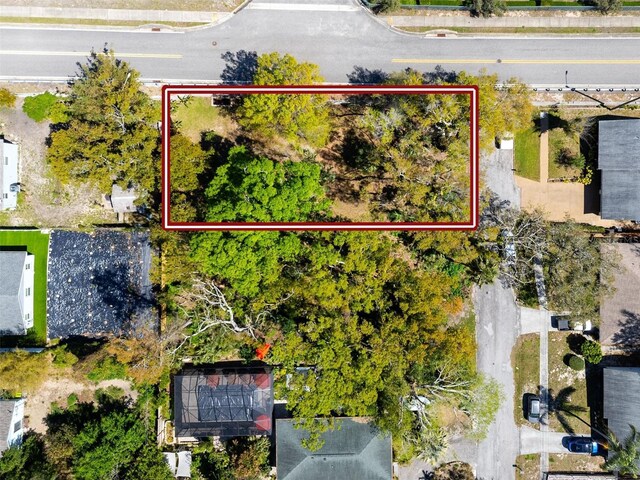 Boston St, Tarpon Springs, FL 34689