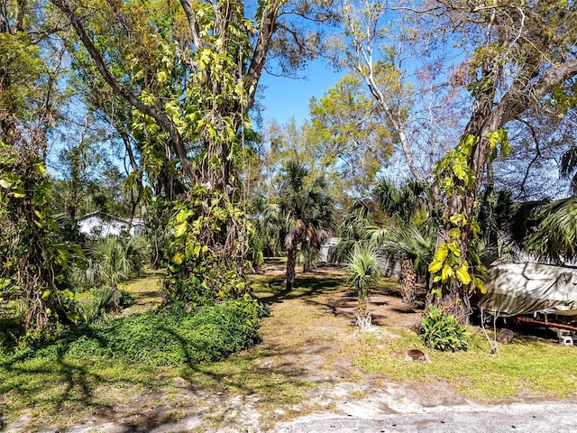 Boston St, Tarpon Springs, FL 34689