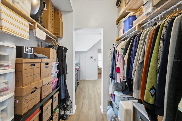 819 11th St N, Saint Petersburg, FL 33705 - walk in closet with light wood-style floors