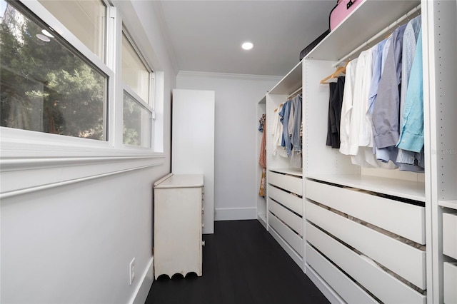 walk in closet featuring dark wood-style flooring