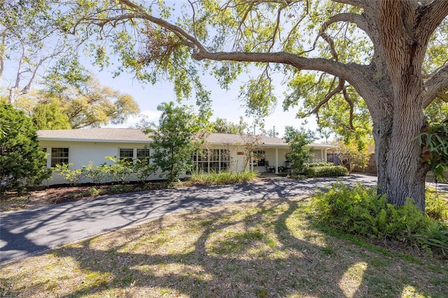 rear view of house featuring driveway and stucco siding