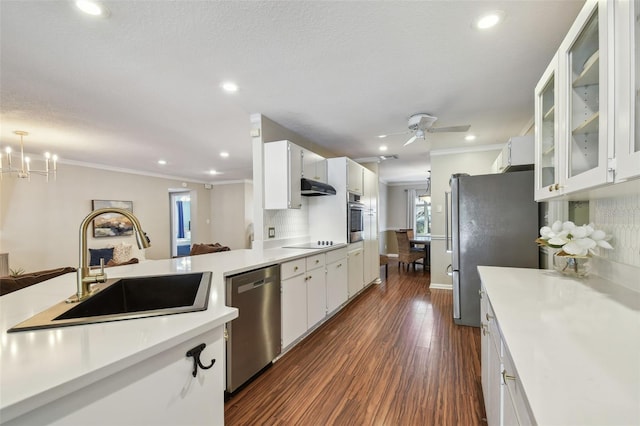 kitchen with appliances with stainless steel finishes, a sink, ornamental molding, and under cabinet range hood