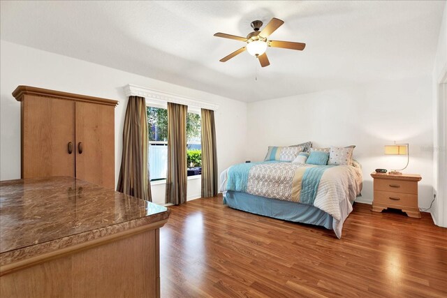 31833 Turkeyhill Dr, Wesley Chapel, FL 33543 - photo 12