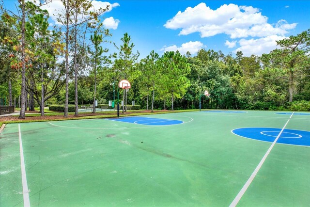31833 Turkeyhill Dr, Wesley Chapel, FL 33543 - photo 27