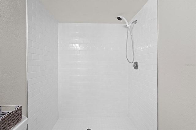 6140 Sun Blvd Unit 7, Saint Petersburg, FL 33715 - full bathroom with a shower stall