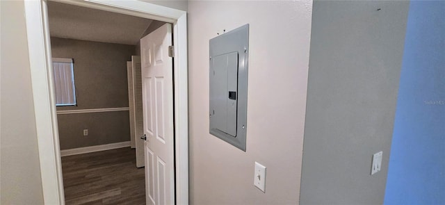 5725 80th St N Unit 107, Saint Petersburg, FL 33709 - corridor with electric panel and wood finished floors