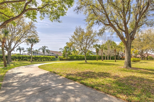 view of home's community with a yard