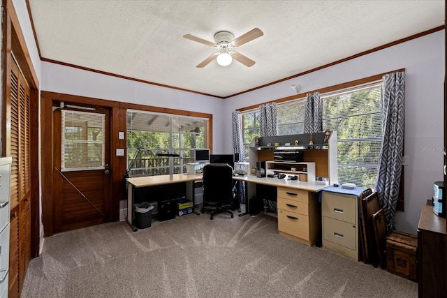 carpeted office space featuring a textured ceiling, ornamental molding, and a ceiling fan