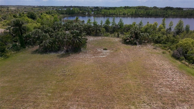 Smilodon Trl, Ruskin, FL 33570 - photo 2
