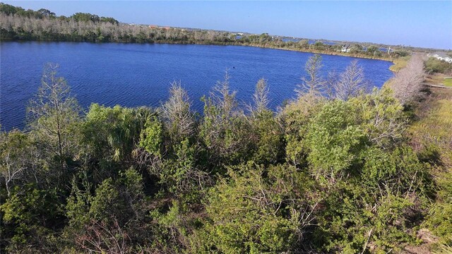 Smilodon Trl, Ruskin, FL 33570 - photo 3