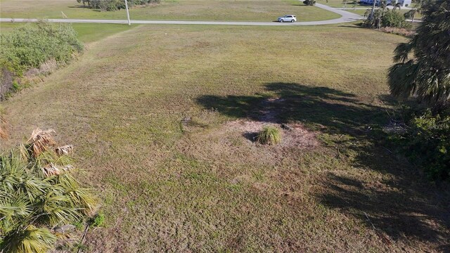 Smilodon Trl, Ruskin, FL 33570 - photo 10