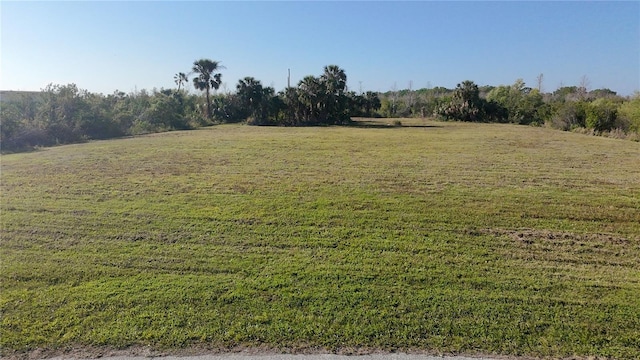 Smilodon Trl, Ruskin, FL 33570 - photo 4