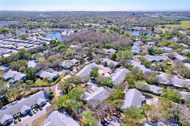 39650 US Highway 19 N Unit 411, Tarpon Springs, FL 34689 - photo 48