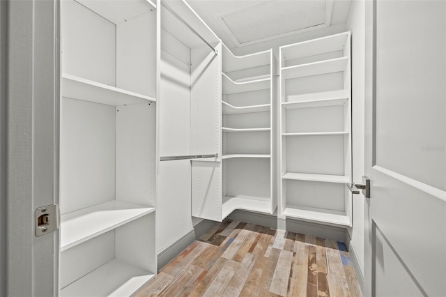 spacious closet with attic access and wood finished floors