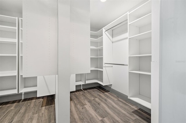 spacious closet featuring dark wood-type flooring