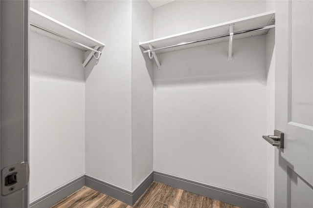 walk in closet featuring dark wood-style floors