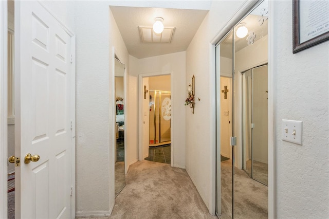 3627 Cypress Meadows Rd, Tampa, FL 33624 - hallway with a textured wall and light colored carpet