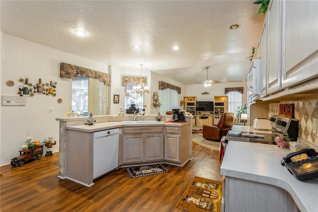 3627 Cypress Meadows Rd, Tampa, FL 33624 - kitchen featuring light countertops, a sink, a textured ceiling, dark wood-style floors, and white appliances