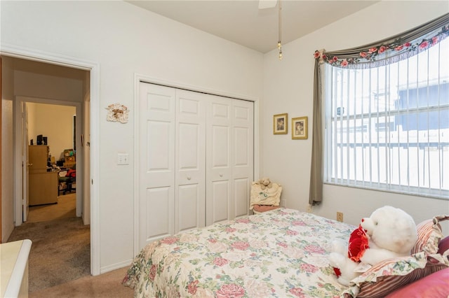 3627 Cypress Meadows Rd, Tampa, FL 33624 - bedroom with a closet, carpet flooring, and multiple windows