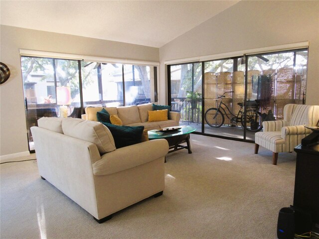 700 Starkey Rd Unit 821, Largo, FL 33771 - living room featuring carpet flooring, baseboards, and lofted ceiling