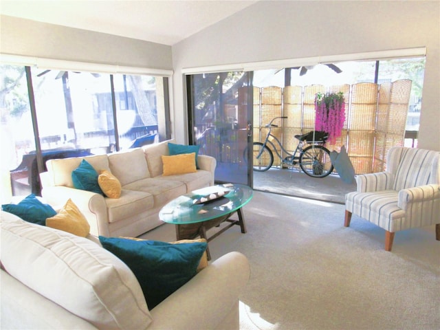 700 Starkey Rd Unit 821, Largo, FL 33771 - living area with carpet and lofted ceiling
