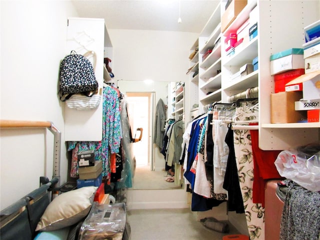 700 Starkey Rd Unit 821, Largo, FL 33771 - view of spacious closet