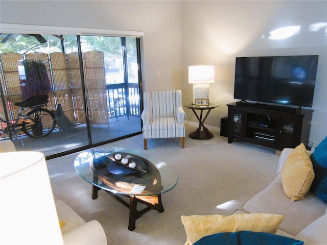 700 Starkey Rd Unit 821, Largo, FL 33771 - living room with carpet flooring and baseboards