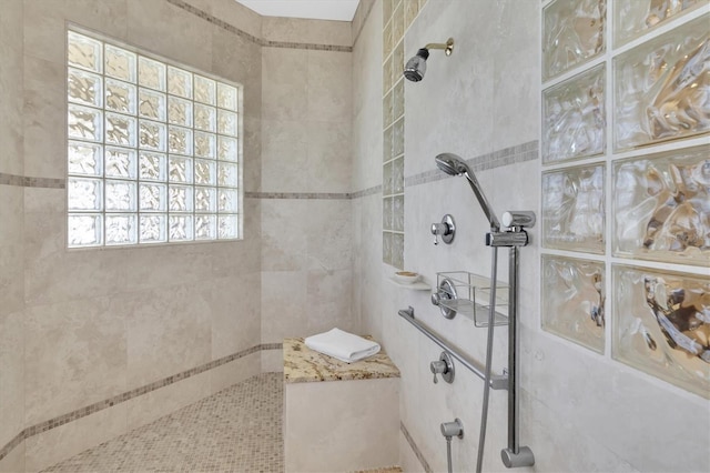 700 126th Ave, Treasure Island, FL 33706 - bathroom featuring walk in shower
