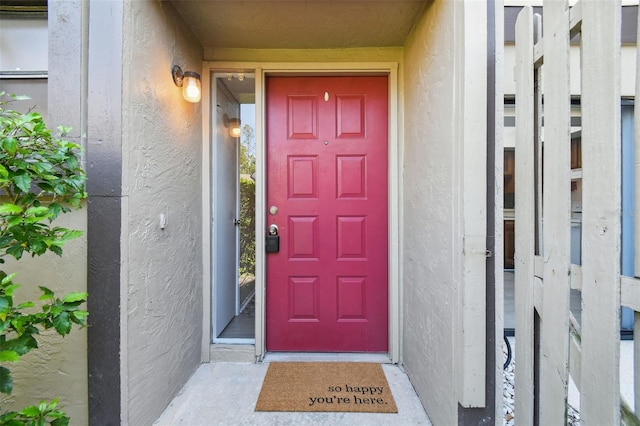440 Woods Landing Trl, Oldsmar, FL 34677 - property entrance featuring stucco siding