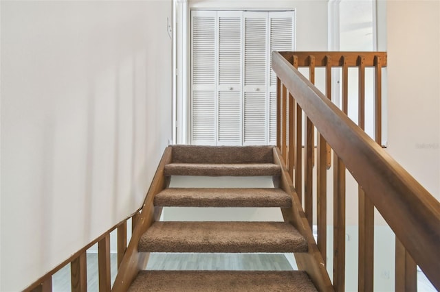 440 Woods Landing Trl, Oldsmar, FL 34677 - view of stairway