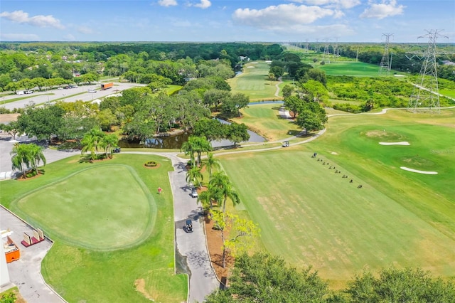440 Woods Landing Trl, Oldsmar, FL 34677 - birds eye view of property featuring view of golf course