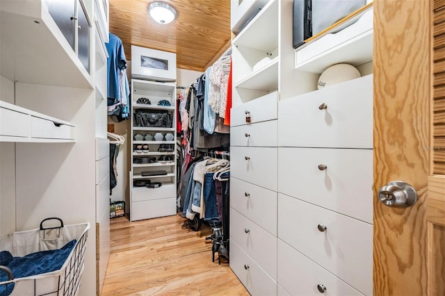107 S Obrien St Unit 117, Tampa, FL 33609 - walk in closet with light wood-type flooring
