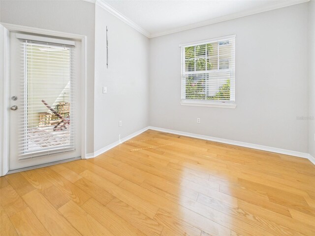 1810 E Palm Ave Unit 6104, Tampa, FL 33605 - unfurnished room featuring ornamental molding, light wood-style flooring, and baseboards