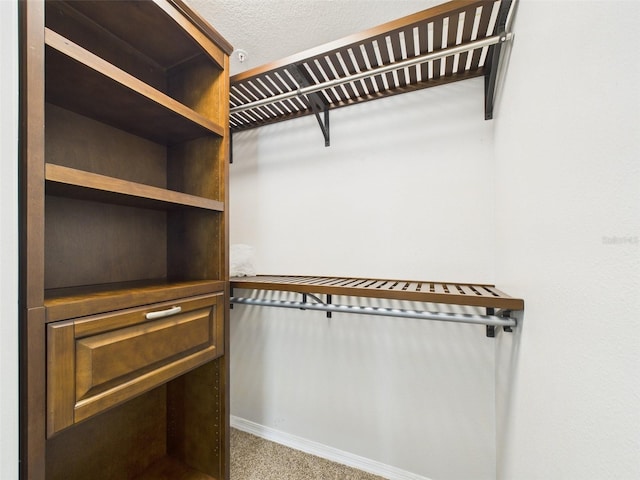 1810 E Palm Ave Unit 6104, Tampa, FL 33605 - walk in closet with carpet
