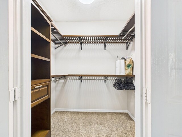 1810 E Palm Ave Unit 6104, Tampa, FL 33605 - spacious closet featuring carpet floors