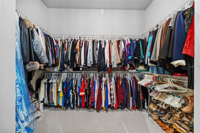 3966 Tour Trce, Land O Lakes, FL 34638 - walk in closet featuring carpet floors